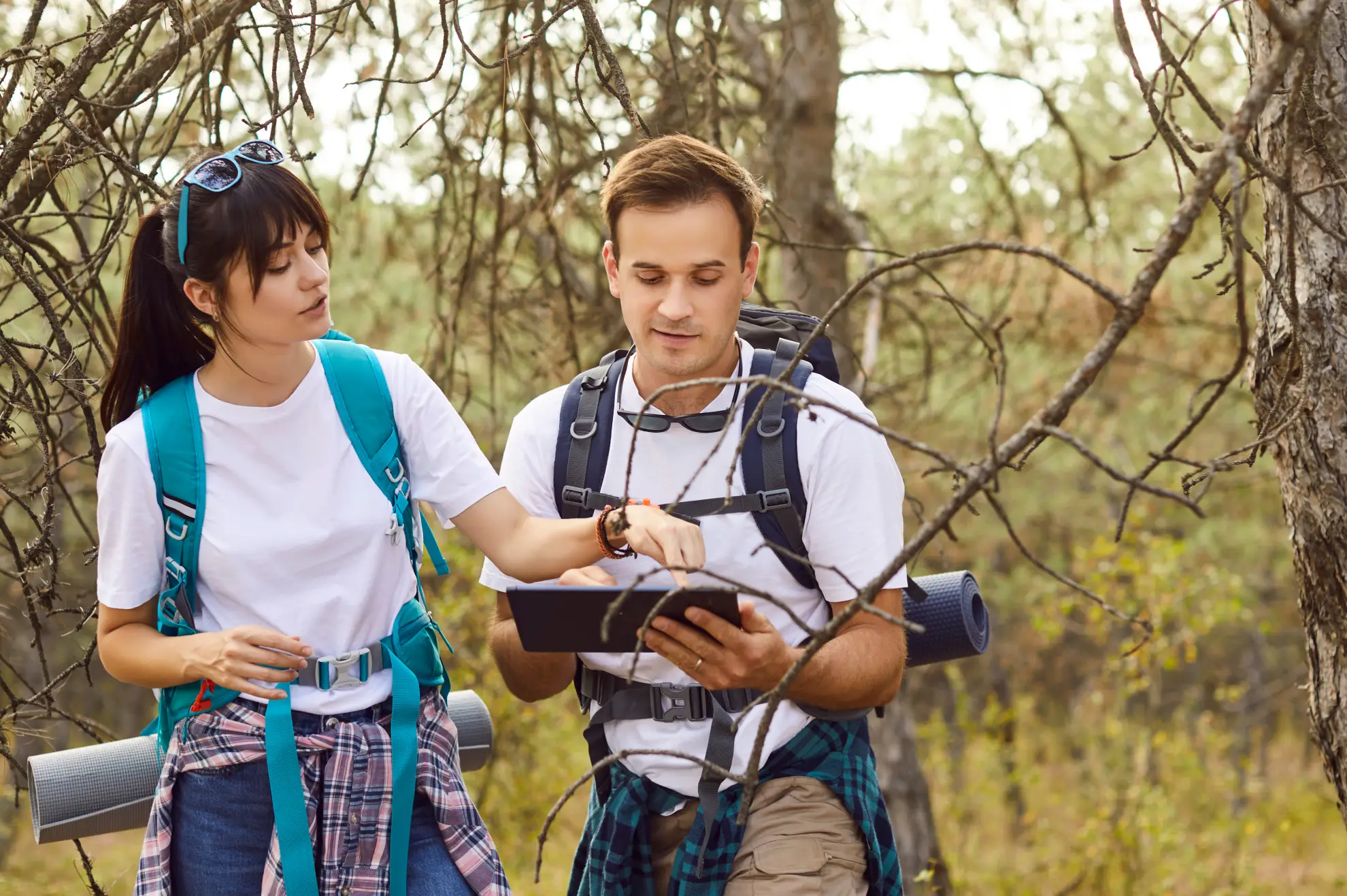 Hiker reviewing offline trail map at a misty Madeira levada trailhead.