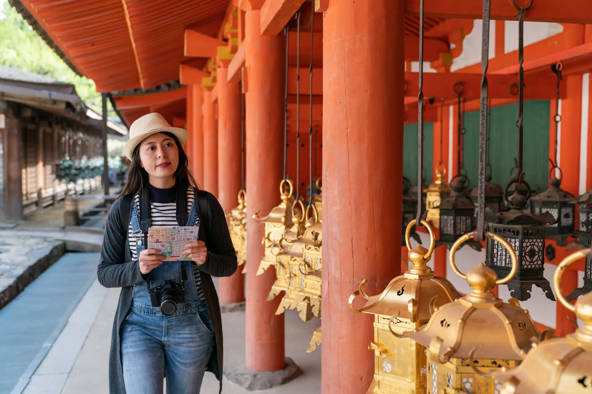 Gilded lanterns at Kasuga Taisha Shrine illuminated in warm evening light.