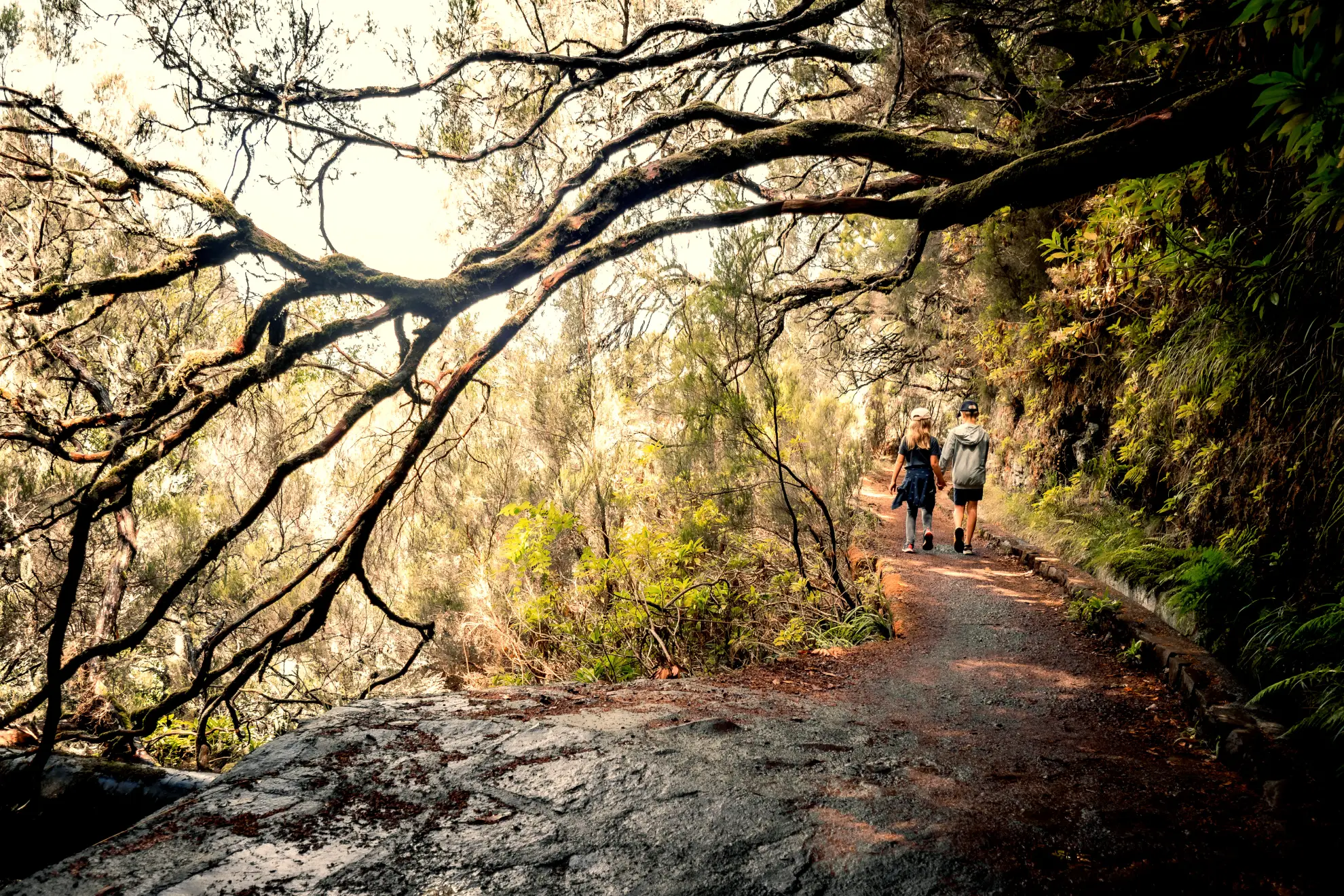 Family walking a flat levada path through Madeira laurel forest