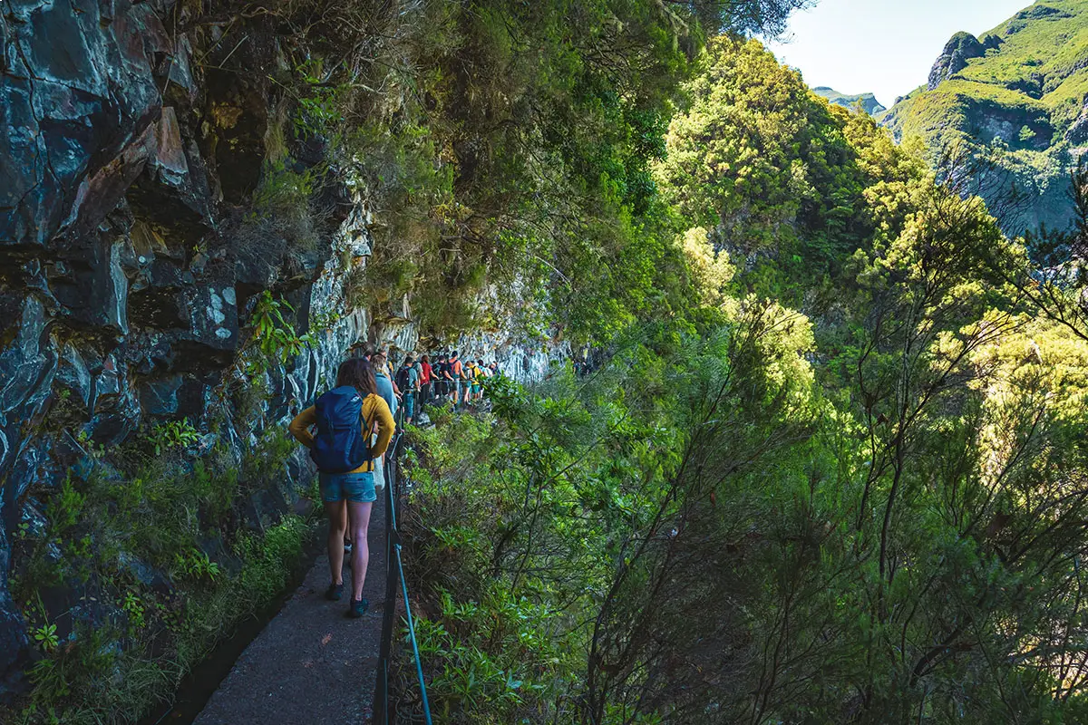 Hiker walking along a narrow levada channel through dense Laurissilva forest.