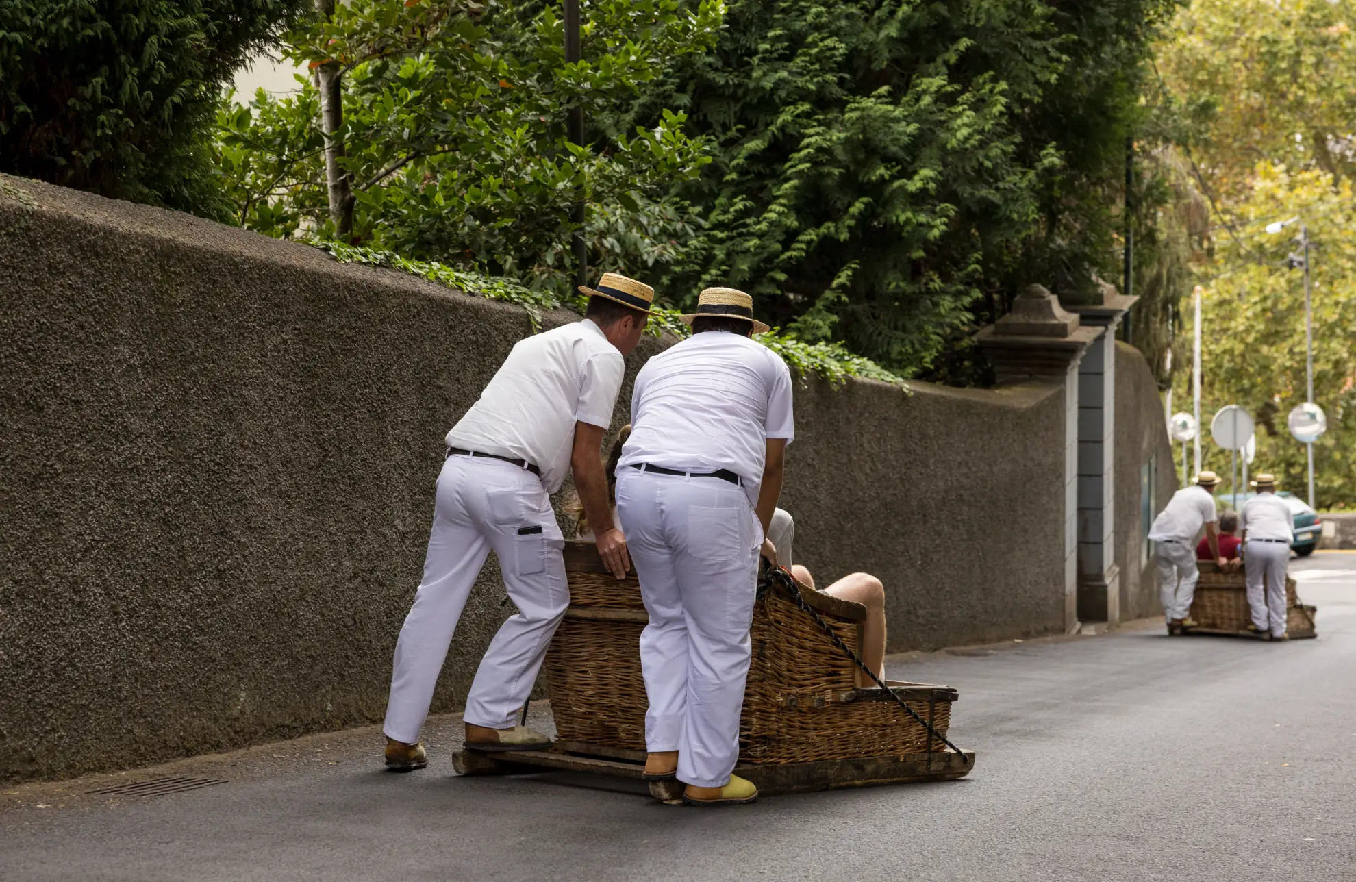 Traditional wicker toboggan carro de cesto with white-uniformed carreiros on Monte road Funchal