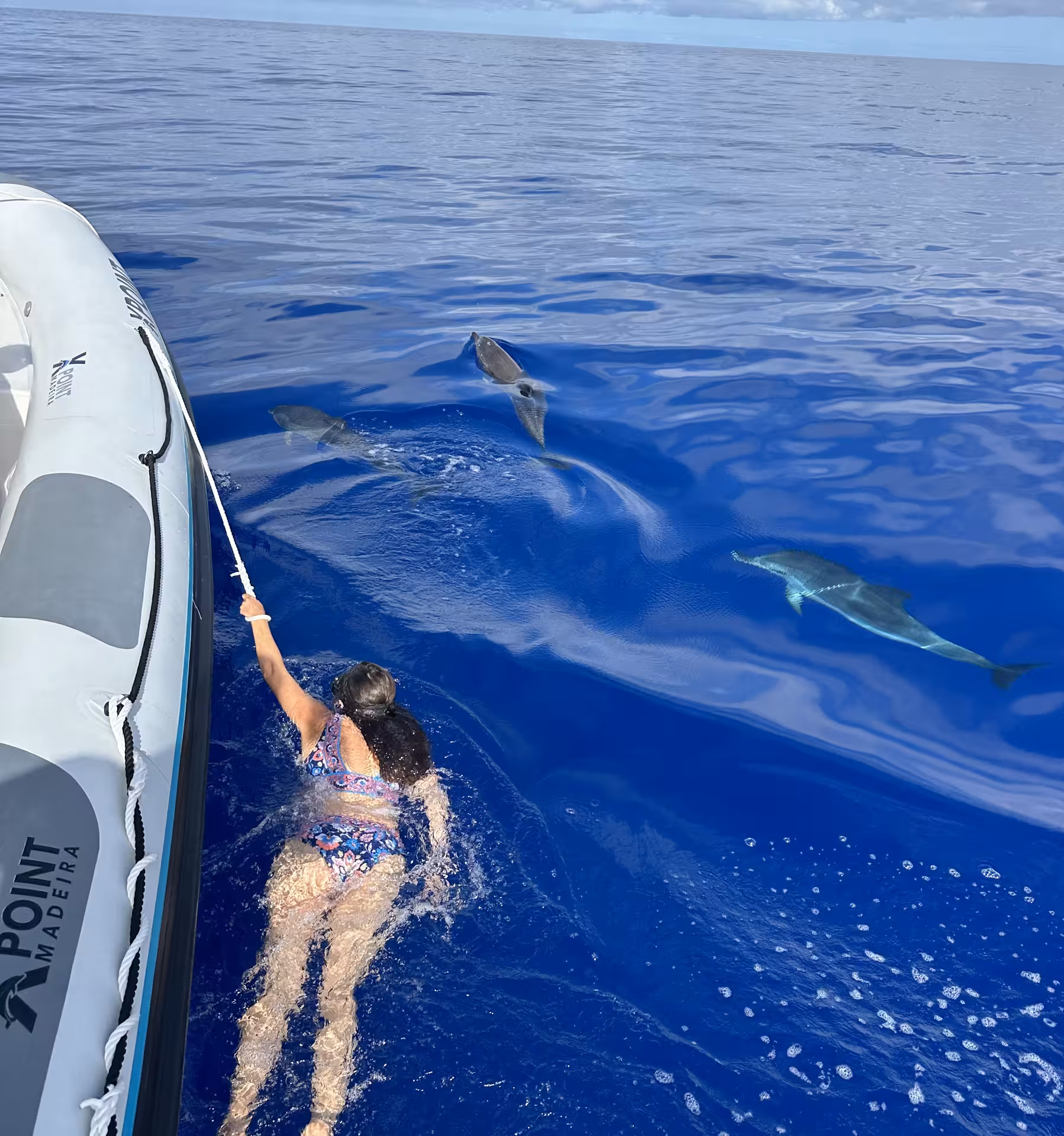 Atlantic spotted dolphins bow-riding alongside a RIB boat off Madeira.