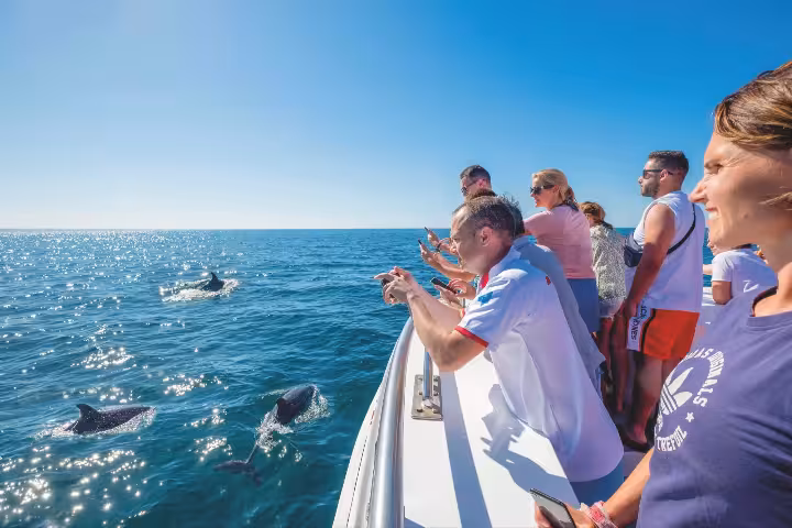 Benagil Caves & Dolphin Watching Boat Tour Portimão