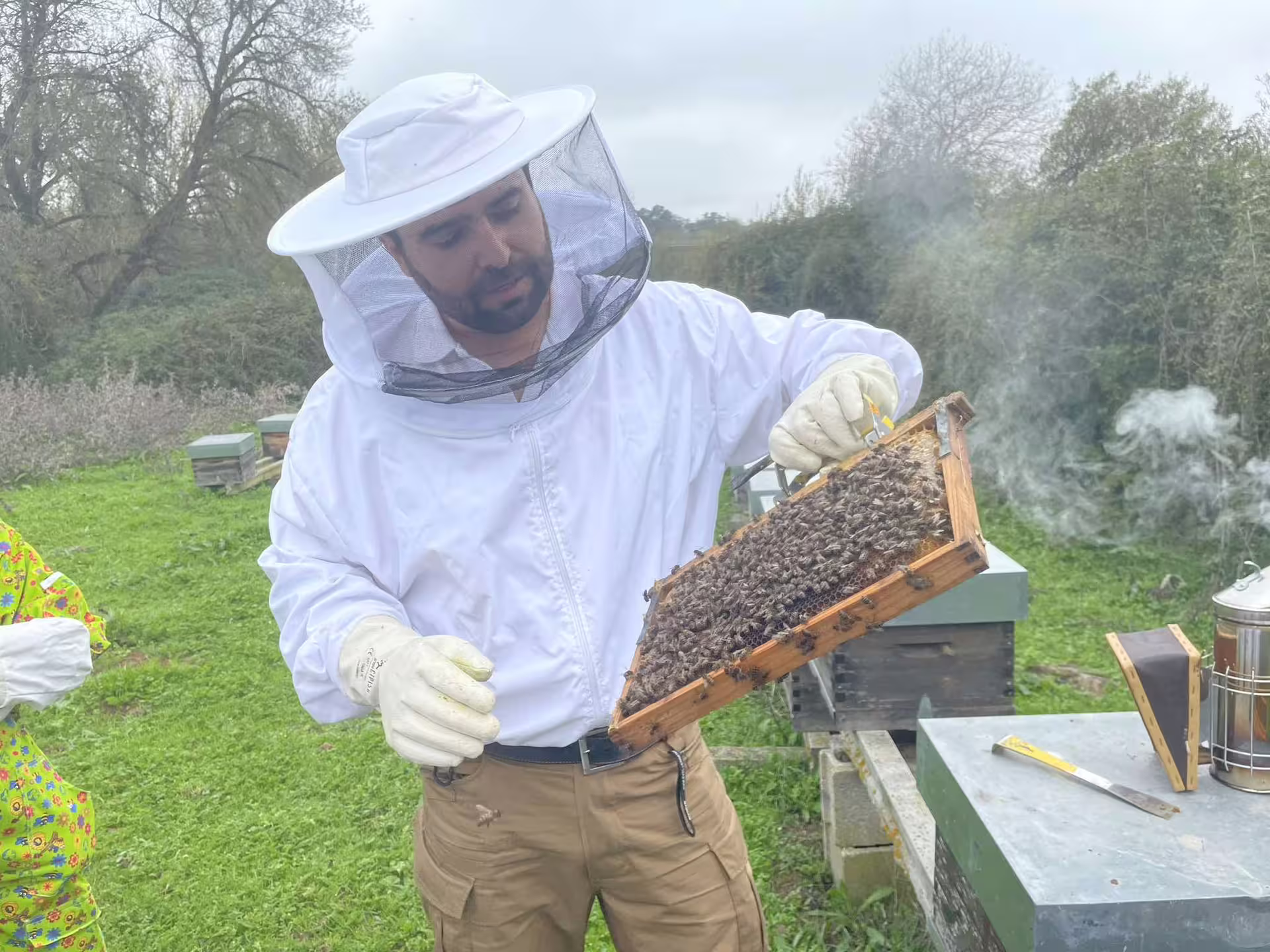 Guided Beehive Tour & Honey Tasting in Évora Region
