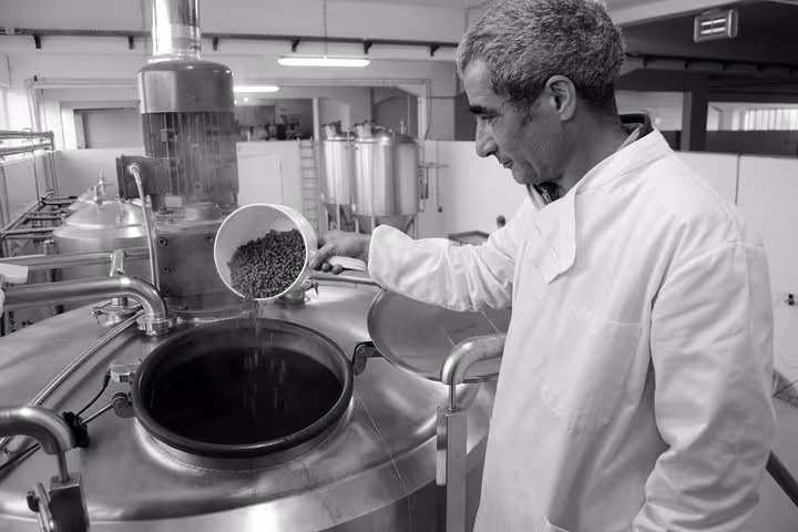 Porto Craft Beer Tour: Local Breweries & Pub Experience
