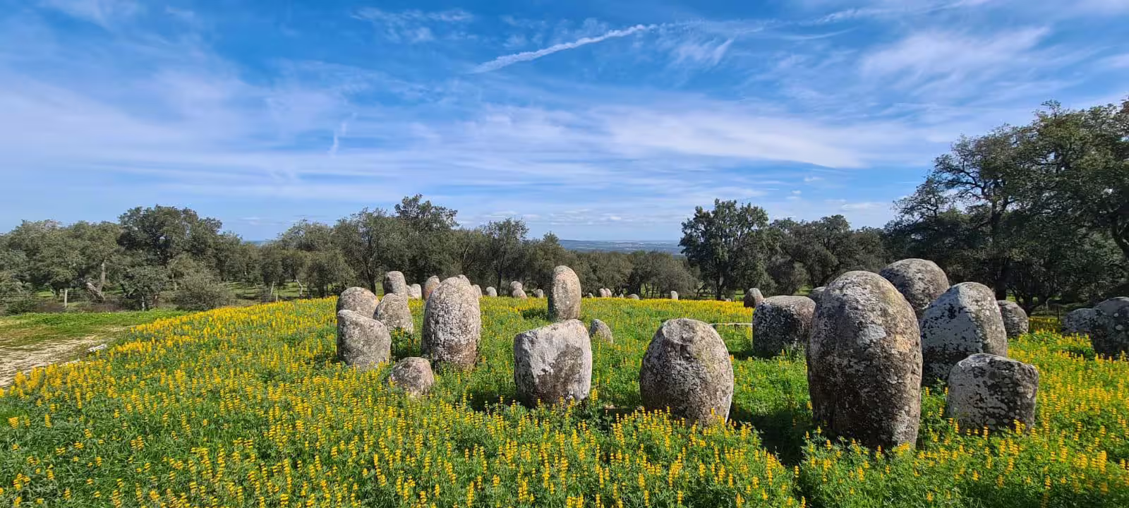 Évora Megalithic Guided Tour: Almendres & Zambujeiro