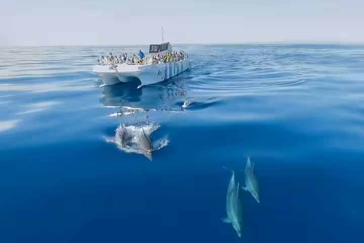Albufeira Catamaran Tour: Benagil Caves and Dolphins