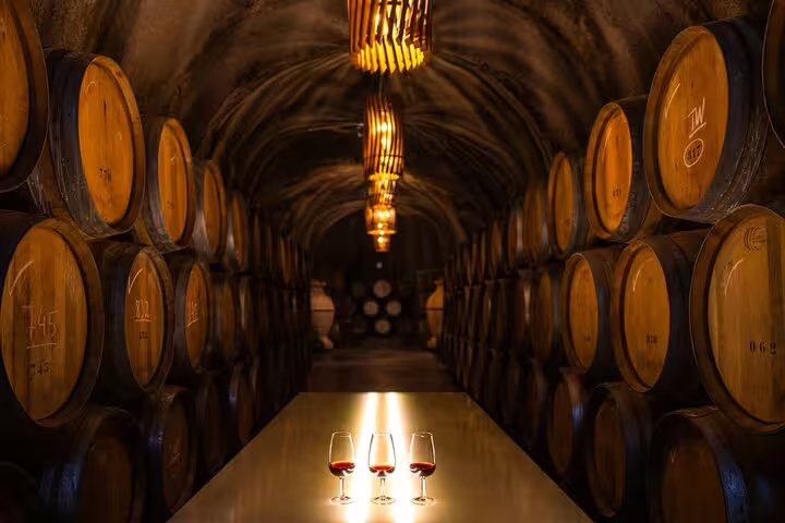 Private Tour Douro Valley: Wine Tasting & Luxury Cruise