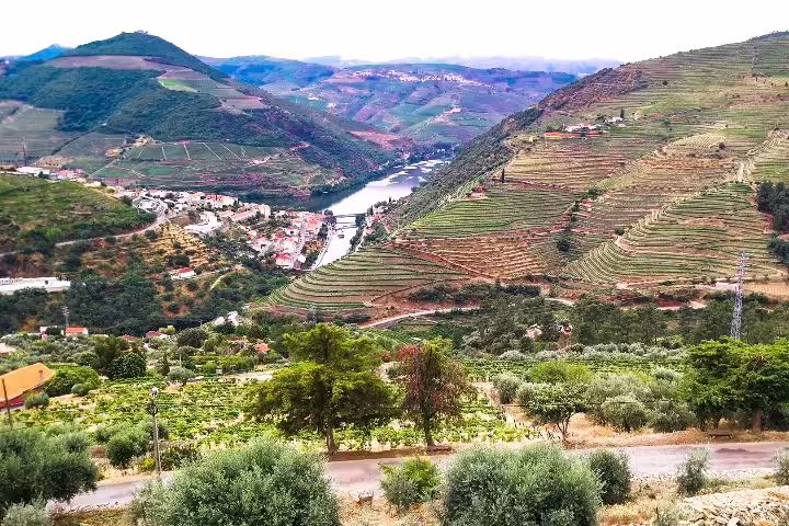 Private Tour of Foz Côa & Douro: Rock Art and Wine