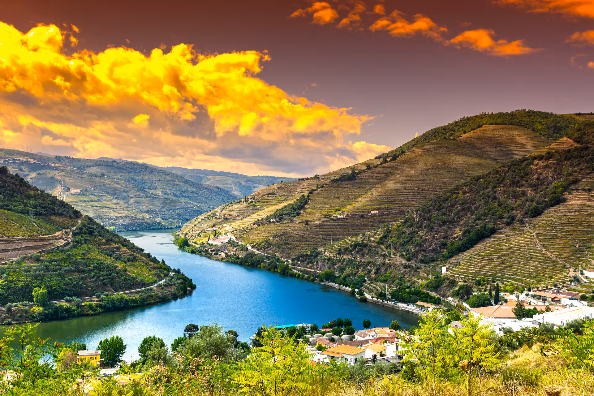 Douro Valley Boat Tour & Wine Tasting Private 3-Hour Trip