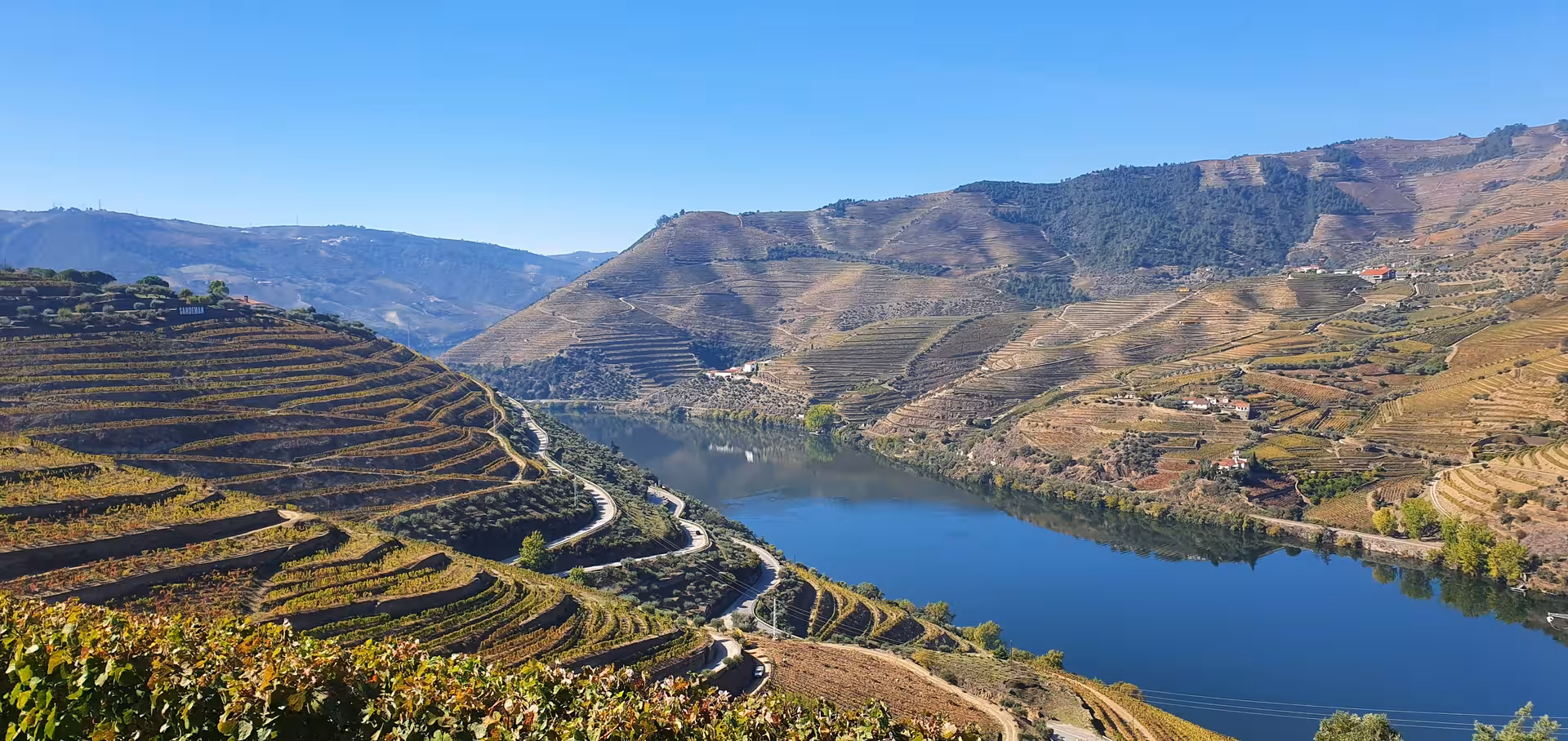 Douro Valley Full-Day Private Tour by Train & Wine Tasting