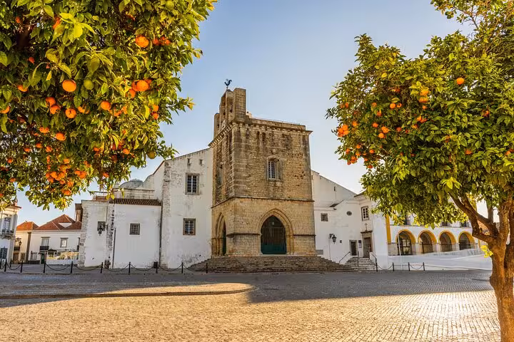 Guided Walking Tour in Faro with History & Local Tasting