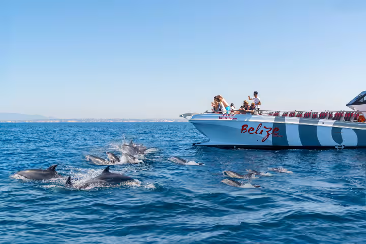 Lagos Catamaran Tour: Dolphins & Benagil Caves Half-Day
