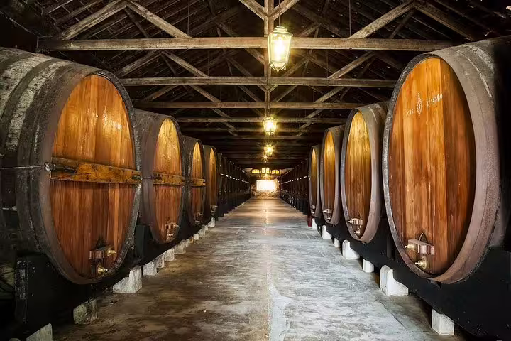 Full-Day Wine Tour in Setúbal Region from Lisbon
