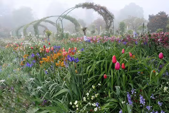 Full-Day Tour to Versailles and Giverny from Paris