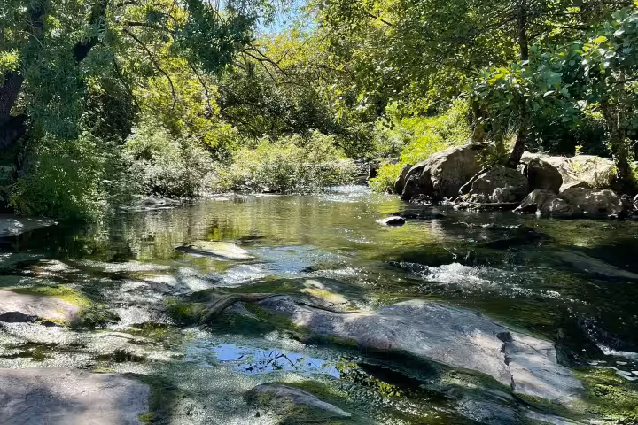 Montemor-o-Novo Walking Tour Along Almansor River & Lunch