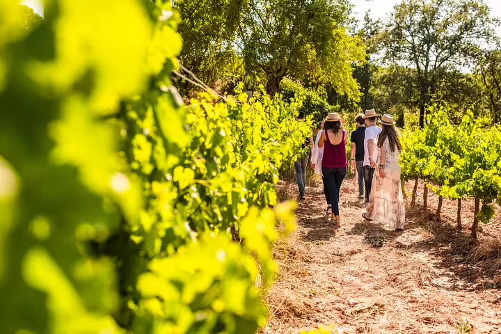 Montserrat Full-Day Tour with Farmhouse Lunch & Winery