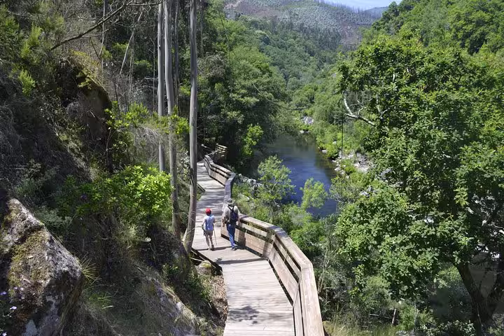 Arouca Bridge & Paiva Walkways Full-Day Tour from Aveiro