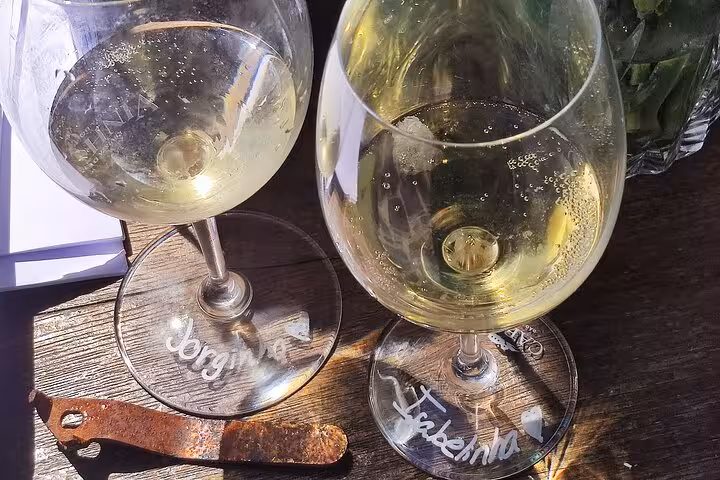 Hands-On Portuguese Cooking Class on a Terrace in Porto