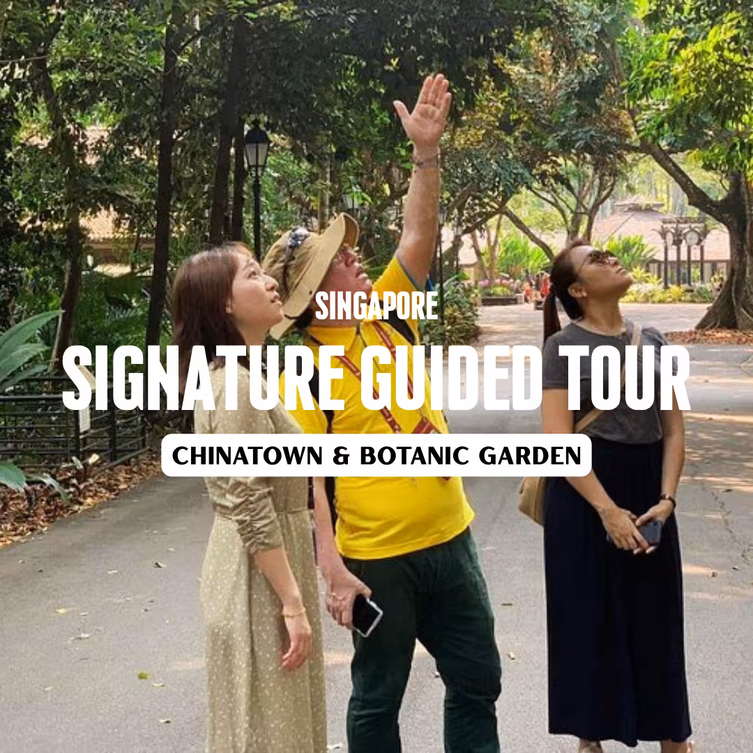 Singapore Guided Tour: Chinatown, Little India & Botanic Gardens