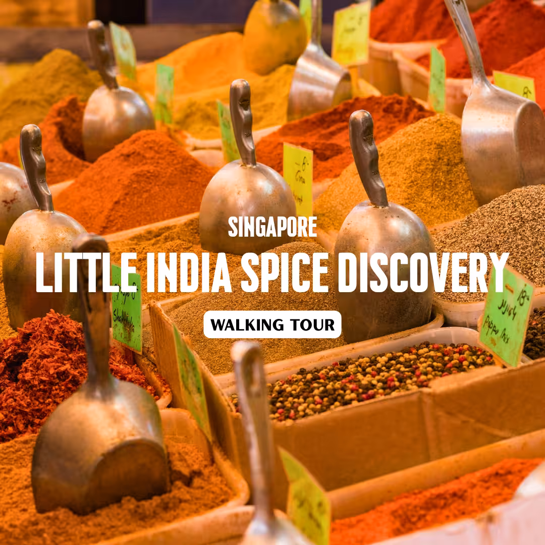 Singapore Little India Guided Tour: Spices, Temples and Lunch