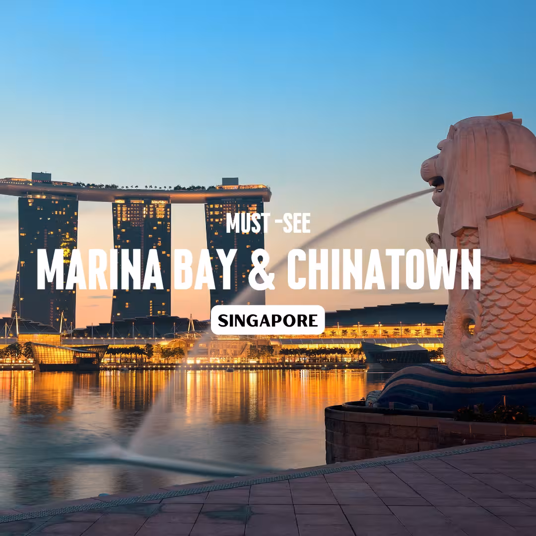 Guided Tour of Marina Bay and Chinatown in Singapore