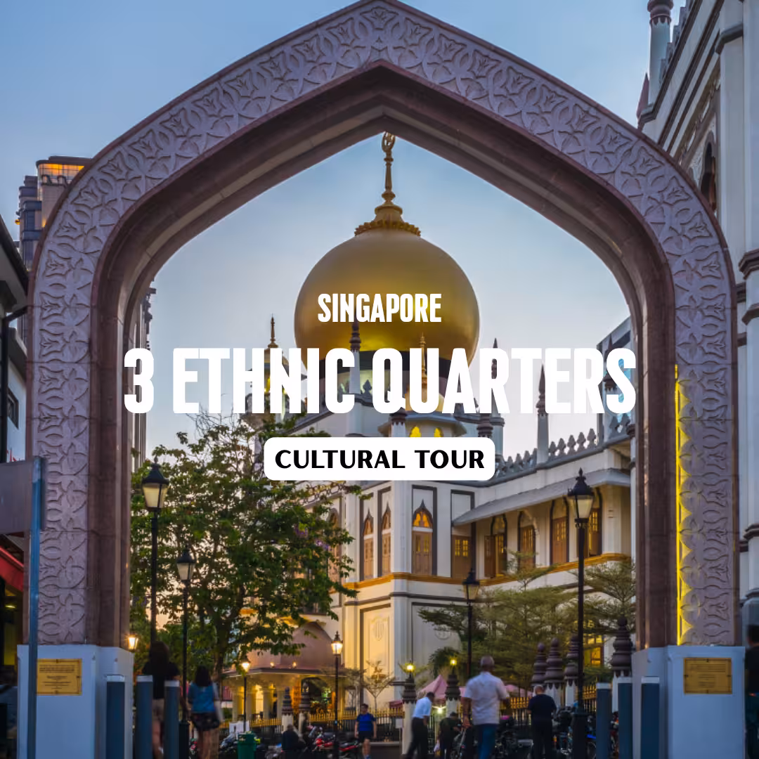Singapore Cultural Walking Tour: Chinatown, Little India & Kampong Glam